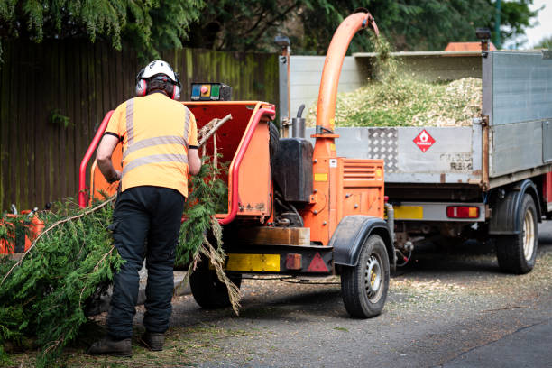 Best Utility Line Clearance  in , NJ